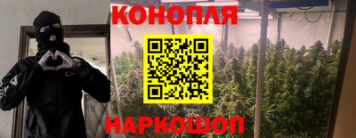 mdpv Старая Купавна