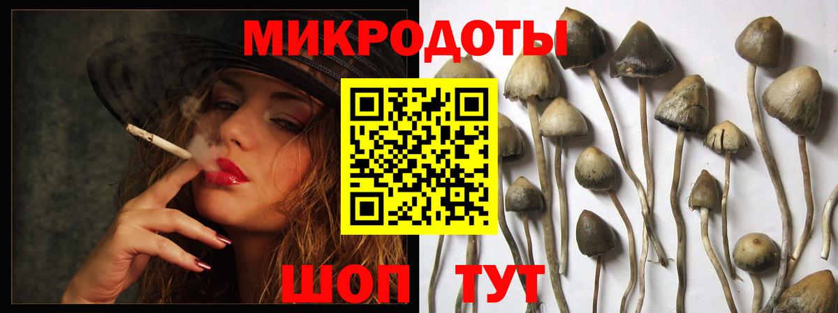 Галлюциногенные грибы MAGIC MUSHROOMS Краснодар